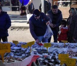 Hamsinin kilosu yarı yarıya düştü
