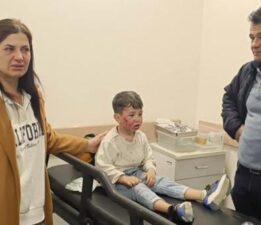 Hatay’da sahipsiz köpeğin saldırısına uğrayan küçük çocuk yaralandı