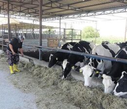 Hayvancılık için 3 ana hedef var