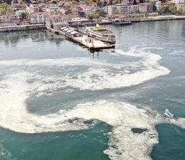 İBB Meclisinde müsilaj sorunu gündeme geldi! ‘Haliç gibi Marmara’yı da kaderine mi terk ediyorsunuz?’