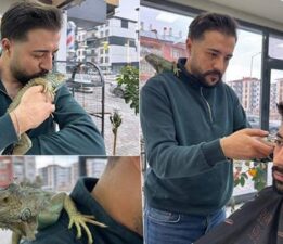 İguana ile tıraş! Onun için kilometrelerce yol geliyorlar