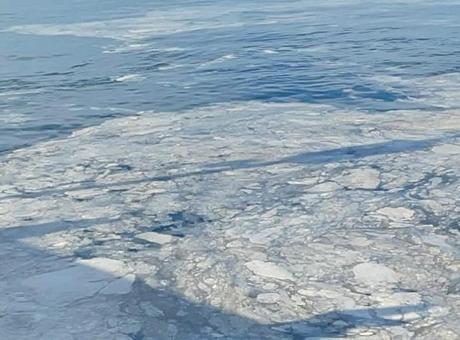 Kabus yeniden hortladı! ‘Marmara ölüm çığlığı atıyor’