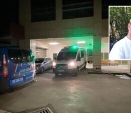 Kocaeli’de ormanda kan donduran cinayet! Dili ve kulakları kesilmiş halde bulundu