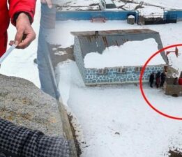Köylüler başından ayrılmıyor: Yabancı gördüğümüzde hemen koşup geliyoruz
