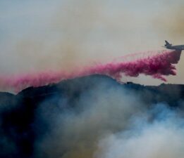 Los Angeles’taki pembe tozun sırrı ne?