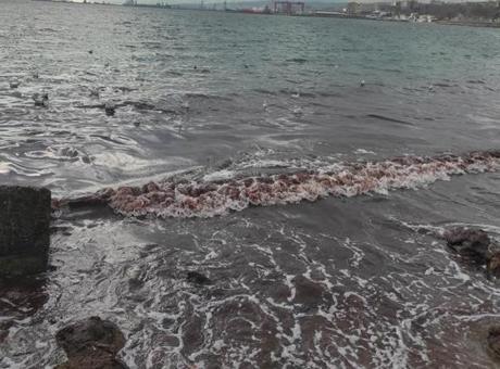 Marmara Denizi kızıl renge boyandı