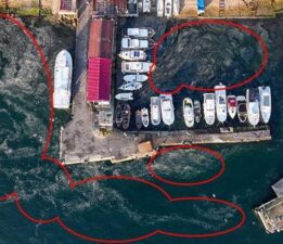 Marmara Denizi’nde yeniden ortaya çıktı! ‘Bu iyi bir şey değil’