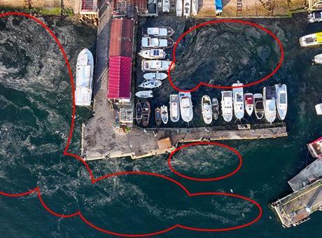 Marmara Denizi’nde yeniden ortaya çıktı! ‘Bu iyi bir şey değil’