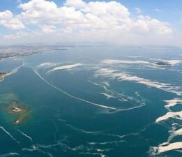 Marmara’da müsilaj tehlikesi! Yeni açıklama geldi