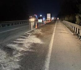 Otoyolda feci ölüm! Çok sayıda araç çarparak parçaladı! Kimliği belli oldu