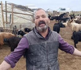 Sokak köpekleri 2 metrelik telden atlayarak saldırdı! 25’ini birden telef etti