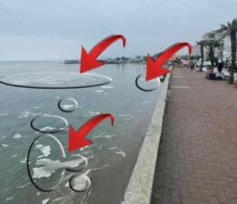 Son Dakika Haberleri: Denizde tedirgin eden görüntü! Şimdi de Bursa’da görüldü…