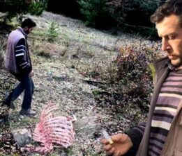Soyları 750 yıllık! Devlet tarafından gen projesi içine alınan hayvanlara korkunç tuzak