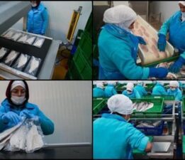 Su ürünleri ihracatında hedef 2,5 milyar doları geçmek