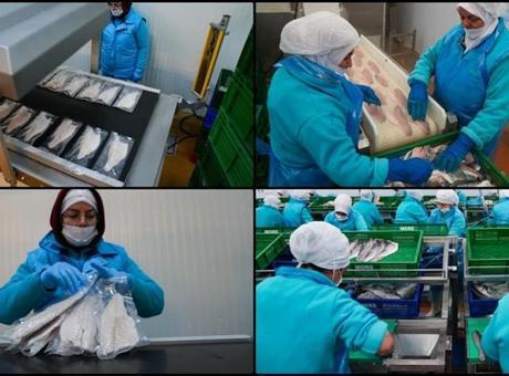 Su ürünleri ihracatında hedef 2,5 milyar doları geçmek