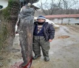 Tam 2.5 metre boyunda! 70 yaşındaki Erdal Amca Meriç Nehri’nde yakaladı