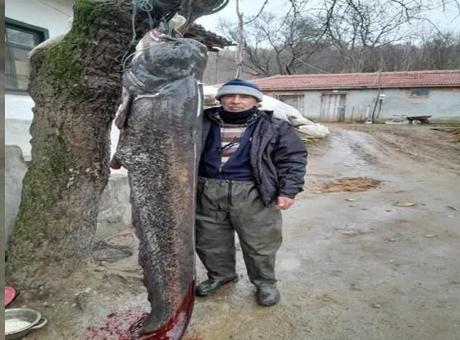 Tam 2.5 metre boyunda! 70 yaşındaki Erdal Amca Meriç Nehri’nde yakaladı