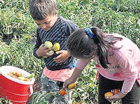 Tarım işçilerinin çocuklarına eğitim desteği
