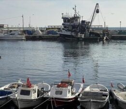 Tekirdağlı balıkçılar yeni yılda hamsiden umutlu