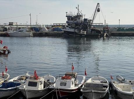Tekirdağlı balıkçılar yeni yılda hamsiden umutlu