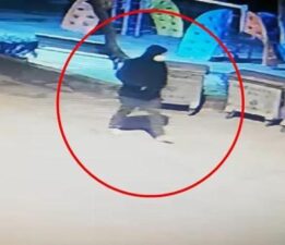 Tıbbi maske takıp dehşet saçmıştı! 120 güvenlik kamerası izlenerek yakalandı