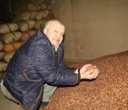 TMO fındık alımını durdurdu, serbest piyasada fiyatlar etkilendi