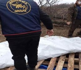 ‘Traktörüm çalındı’ dedi… Gerçek herkesi şoke etti
