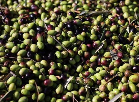 Türkiye 60 milyon dolarlık zeytin ihraç etti