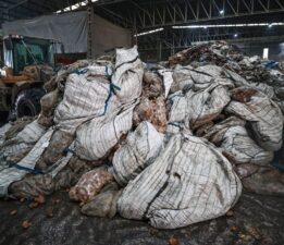 Türkiye’de en çok tüketilen sebzede hastalık. 400 ton patates imha edildi, 2 bin 100 ton daha imha edilecek