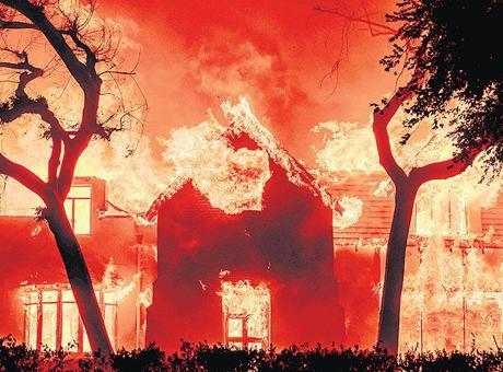 Yangınlar sürüyor, yağmacılar cirit atıyor! ‘Vahşi Batı’da gibiyiz’