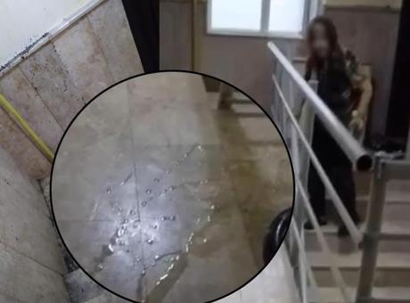 Yaşlı kadın dehşet saçtı! Komşularını zehirlemeye çalıştı, polise satırla saldırdı