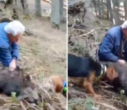 Bilecik’te şaşkına çeviren olay! 70 yaşındaki avcı elleriyle yaban domuzu yakaladı