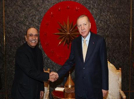 Cumhurbaşkanı Erdoğan, Pakistan Cumhurbaşkanı Zerdari ile görüştü