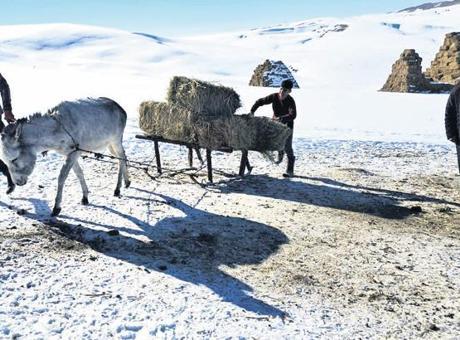 Köy nüfusu azalıyor çiftçiler yaşlanıyor
