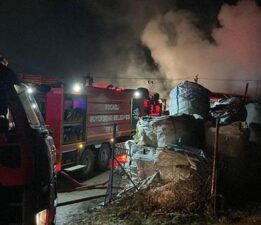 Palet fabrikasında korkutan yangın: 1 yaralı