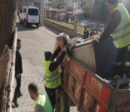 Siirt’te mahalleli kokudan rahatsız oldu şikayet üzerine ekipler eve girince şok oldu