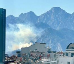 Son dakika… Antalya’da orman yangını, ekipler sevk edildi