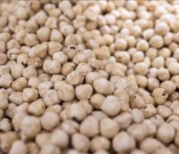 Ticaret borsalarında 447 bin tonu aşkın fındık işlem gördü
