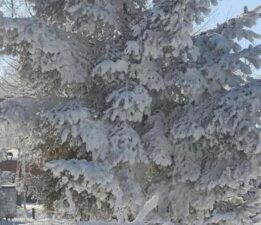 Türkiye’nin en soğuk yeri! Hava sıcaklığı eksi 28,4 derece
