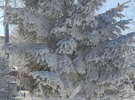 Türkiye’nin en soğuk yeri! Hava sıcaklığı eksi 28,4 derece