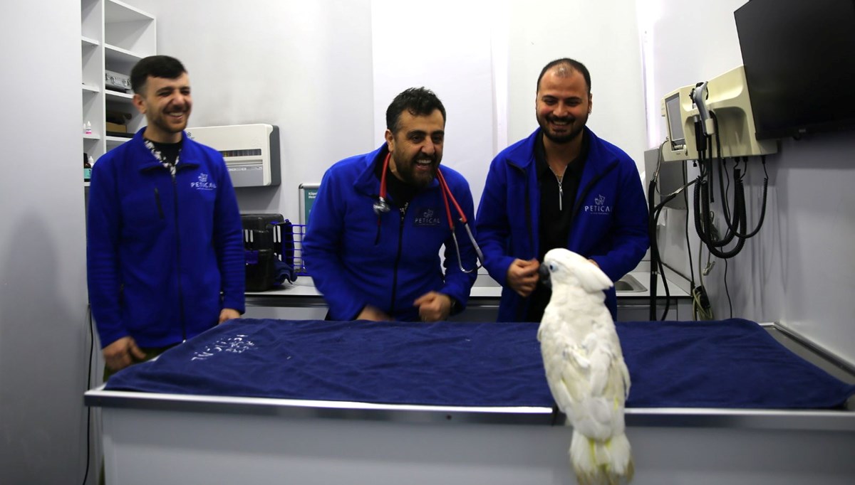 Veterinerlerle dans eden papağan “Ares” ilgi odağı oldu