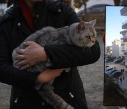 Yangında evleri küle döndü, kedilerini görünce gözyaşlarını tutamadı