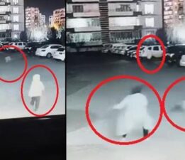 Yer: Diyarbakır! Sokak köpeği, anne ve çocuğuna saldırdı