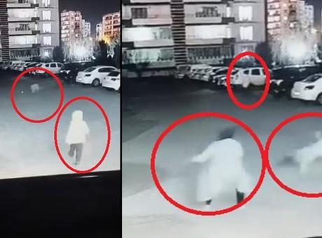 Yer: Diyarbakır! Sokak köpeği, anne ve çocuğuna saldırdı