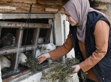 2 yıl önce şehirden köye yerleşip çiftlik kurdu: ‘Devletin çok büyük desteği var’