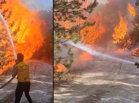 Aydın’da orman yangını! Çok sayıda ekip bölgeye gönderildi