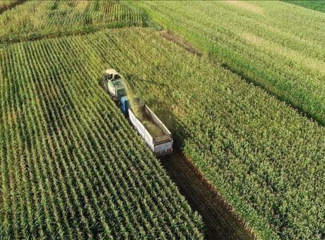 Bakanlık, tarımla ilgilenen gençler için özel program başlatıyor