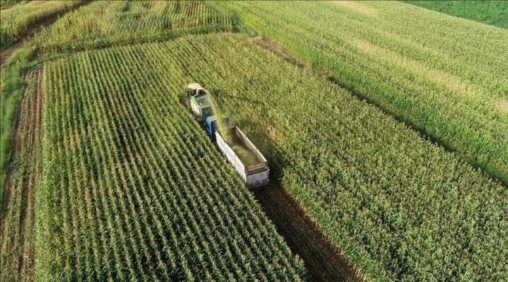 Mazot ve gübre desteği ödemeleri Mart 2025: Mazot ve gübre desteği yattı mı, ne zaman ödenecek? Çiftçinin gözü bakanlıkta