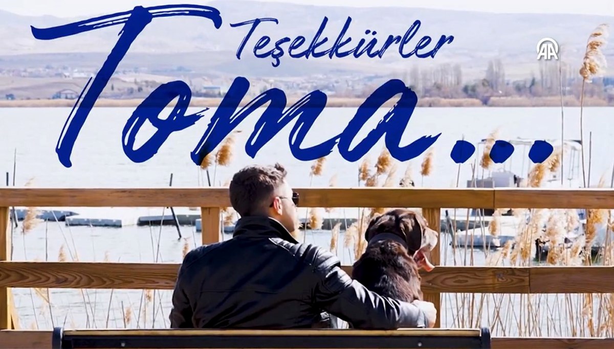 Narkotiğin hassas burnu “Toma” emekliye ayrıldı