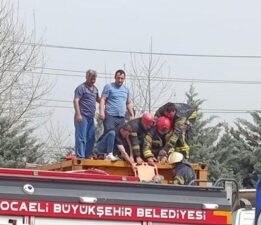 Temizlik yaparken kimyasal tankerinin içine düştü